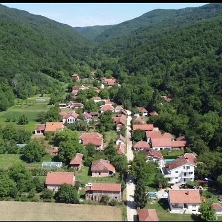 Apartament Domacinstvo Trifunovic Pretresnja Zewnętrze zdjęcie