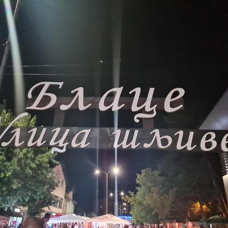 Apartament Domacinstvo Trifunovic Pretresnja Zewnętrze zdjęcie