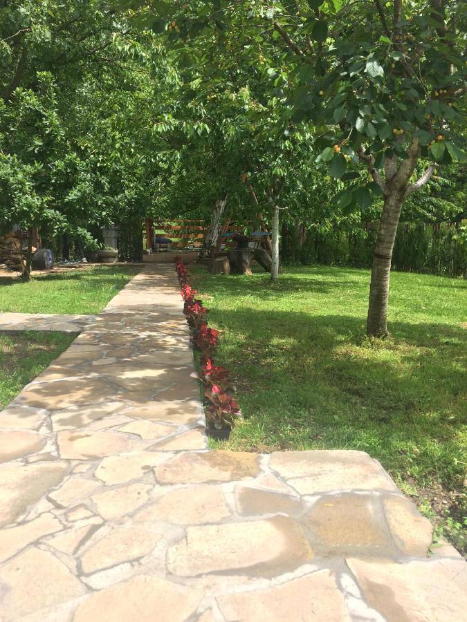 Apartament Domacinstvo Trifunovic Pretresnja Zewnętrze zdjęcie