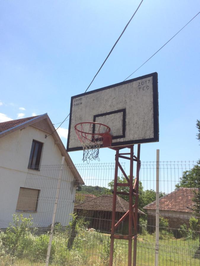 Apartament Domacinstvo Trifunovic Pretresnja Zewnętrze zdjęcie