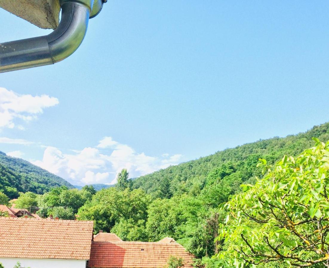 Apartament Domacinstvo Trifunovic Pretresnja Zewnętrze zdjęcie