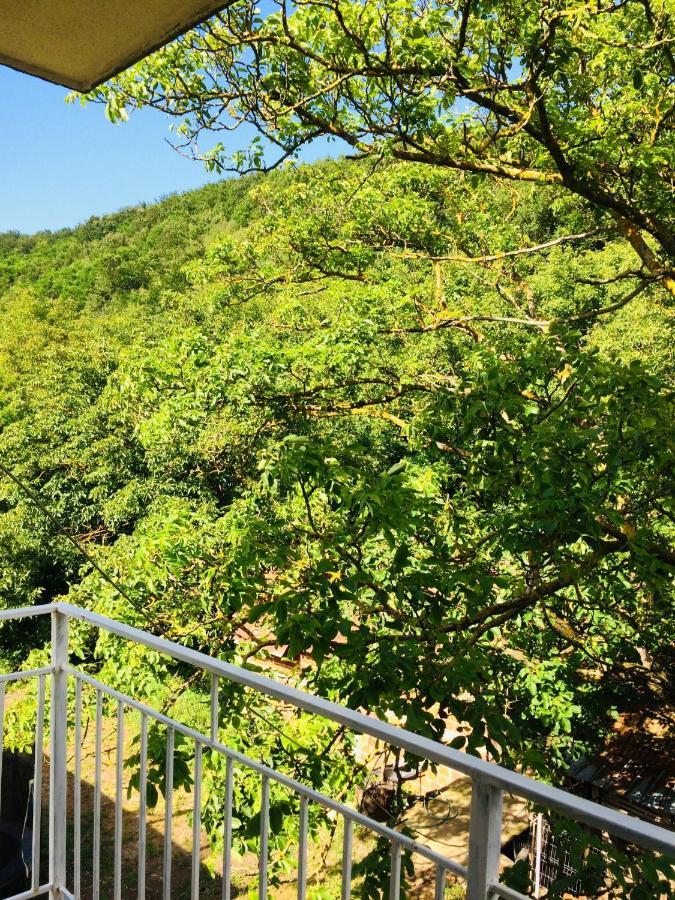 Apartament Domacinstvo Trifunovic Pretresnja Zewnętrze zdjęcie