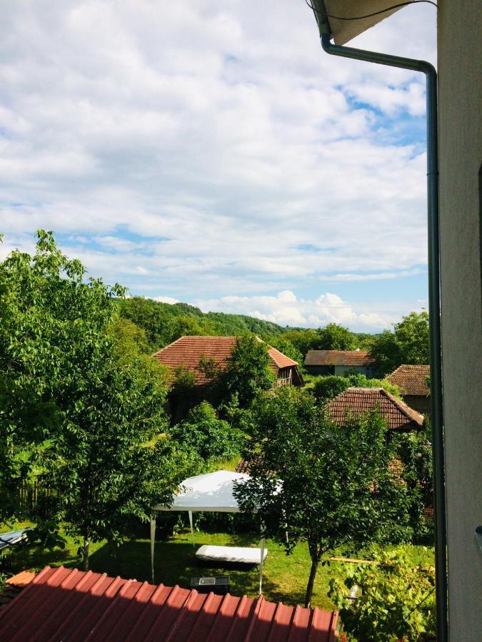 Apartament Domacinstvo Trifunovic Pretresnja Zewnętrze zdjęcie