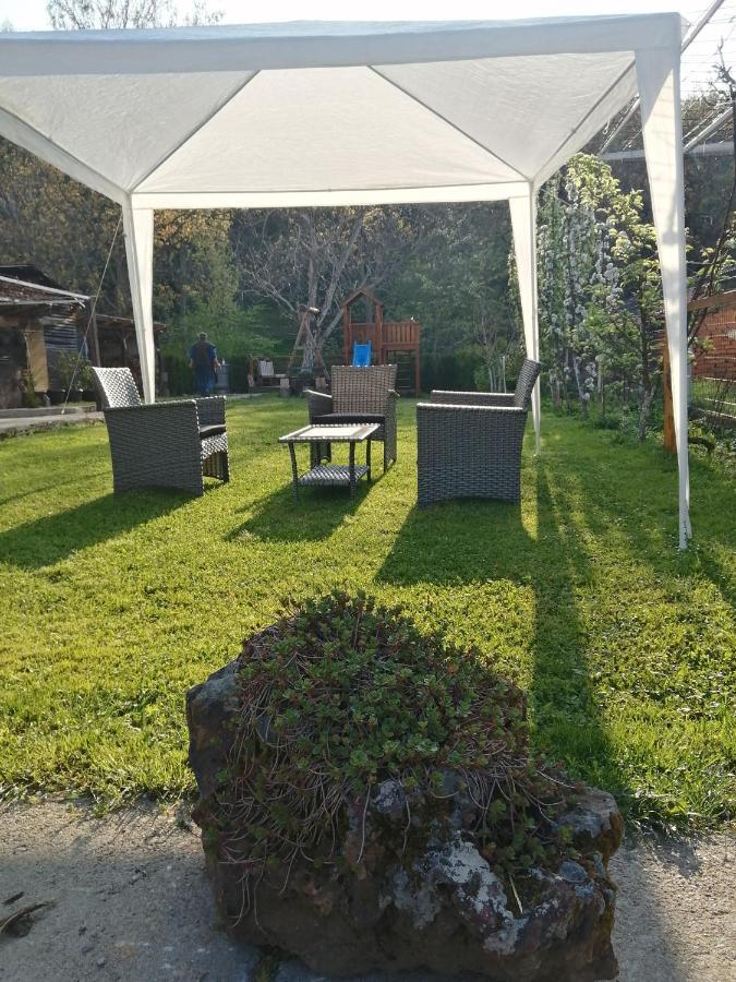 Apartament Domacinstvo Trifunovic Pretresnja Zewnętrze zdjęcie