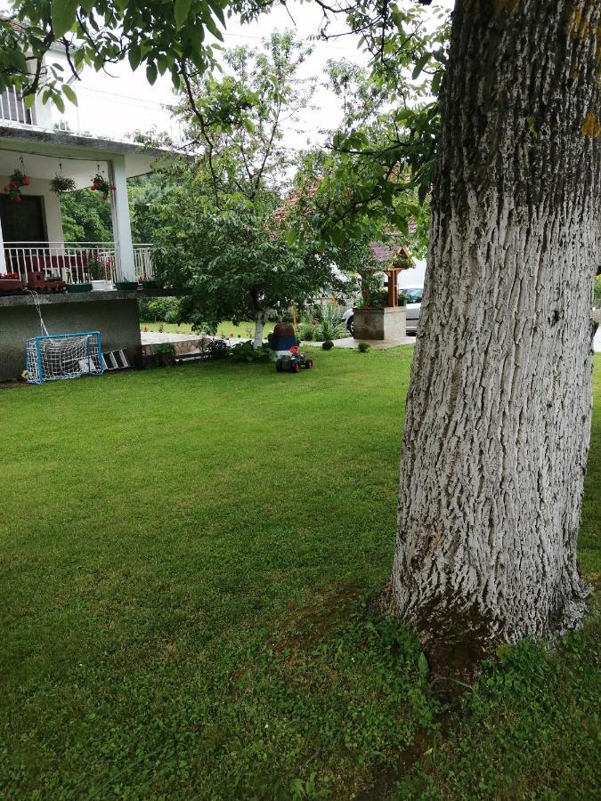 Apartament Domacinstvo Trifunovic Pretresnja Zewnętrze zdjęcie
