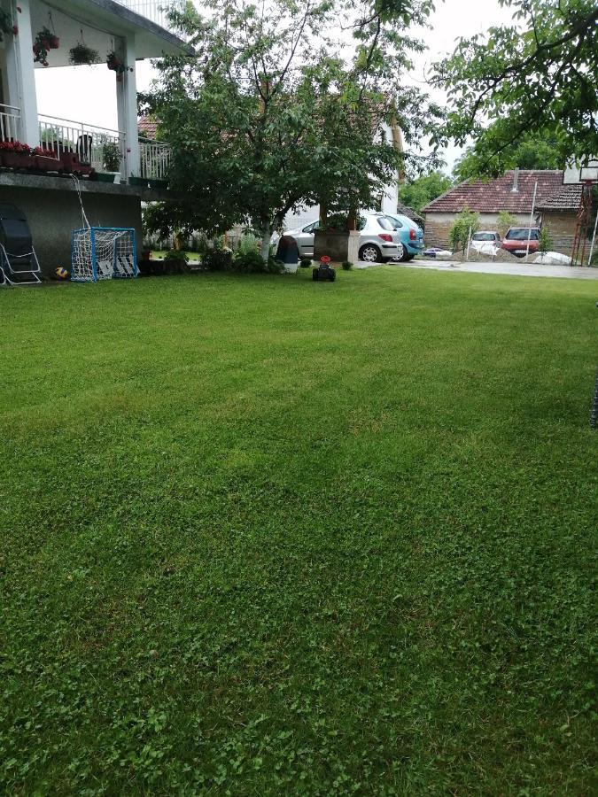 Apartament Domacinstvo Trifunovic Pretresnja Zewnętrze zdjęcie