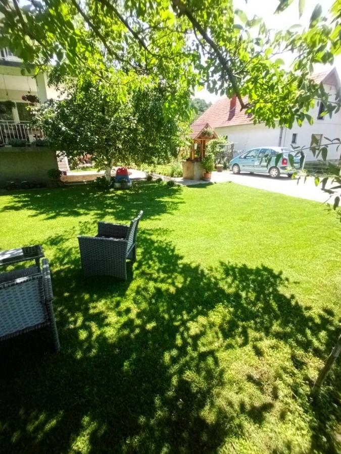 Apartament Domacinstvo Trifunovic Pretresnja Zewnętrze zdjęcie