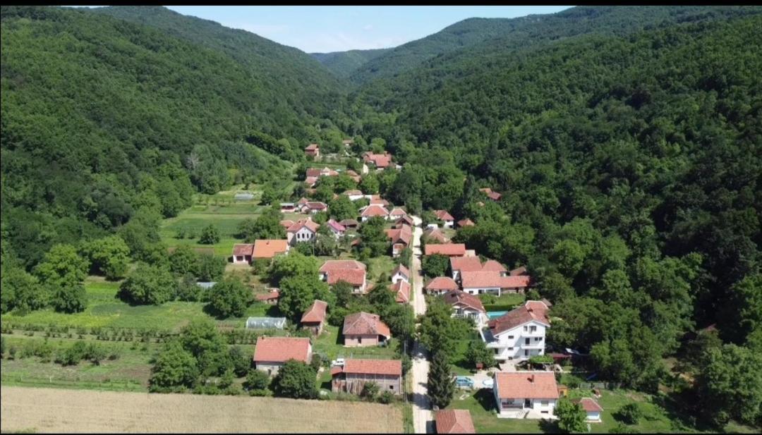 Apartament Domacinstvo Trifunovic Pretresnja Zewnętrze zdjęcie