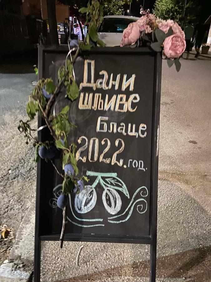 Apartament Domacinstvo Trifunovic Pretresnja Zewnętrze zdjęcie