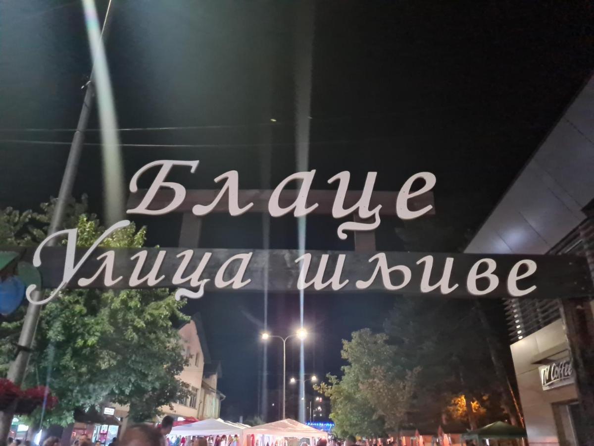 Apartament Domacinstvo Trifunovic Pretresnja Zewnętrze zdjęcie